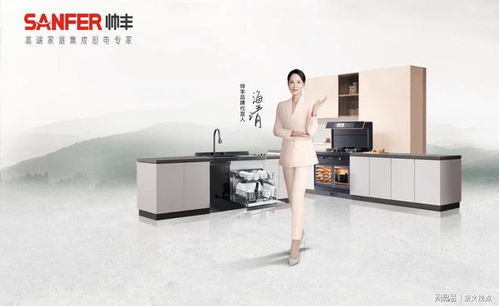 高考圓滿落幕，大國品牌帥豐電器用“帥豐618灶動音樂節”為你接風